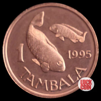 1 Pește în Africa Monedă Veche Anul Aleatoare 100% Original