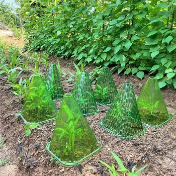 10buc Grădină Cloche Transparente care pot fi Stivuite Pătrunderea Maximă a Luminii Minimă Reflecție a Îmbunătăți Creșterea Plantelor Reutilizabile Împotriva Soarelui