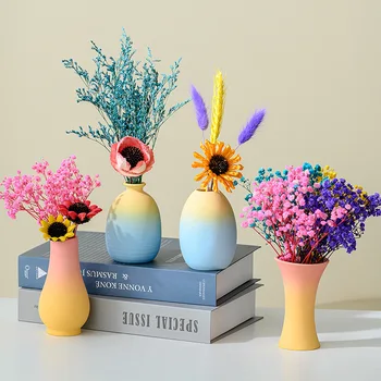 ERMAKOVA Ceramice de Culoare Gradient Vaza Artă Abstractă Vaze pentru Iarba de Flori Uscate Nordic Viață Nouă Cameră Decor Acasă Accesorii