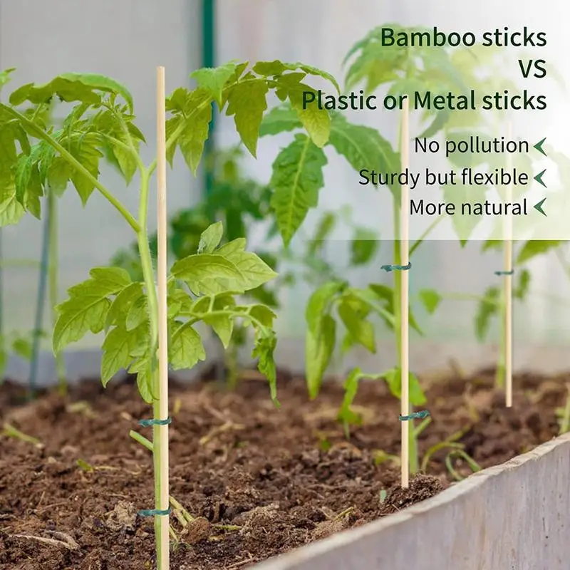 Durabil Bambus Mizele de Plante 50pcs de Sprijin Plantelor Bastoane Pentru Ghiveci 17în Natural Stem Vegetale Miza Ghivece cu Plante Titularul Poli