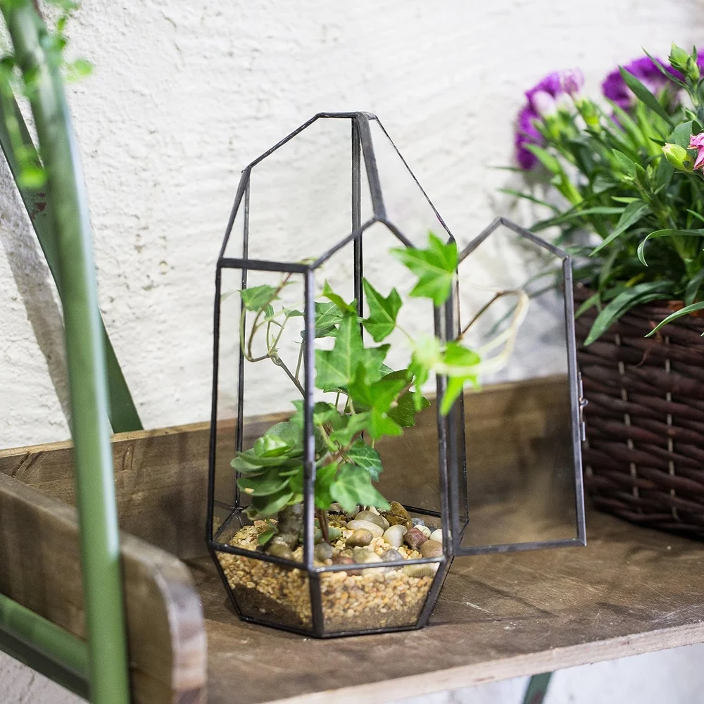 Geometrice Neregulate Sticlă Terarii De Masă În Miniatură Grădină Vas De Cuarț Forma De Lipire Casa Verde A Plantelor Acasă Decorare
