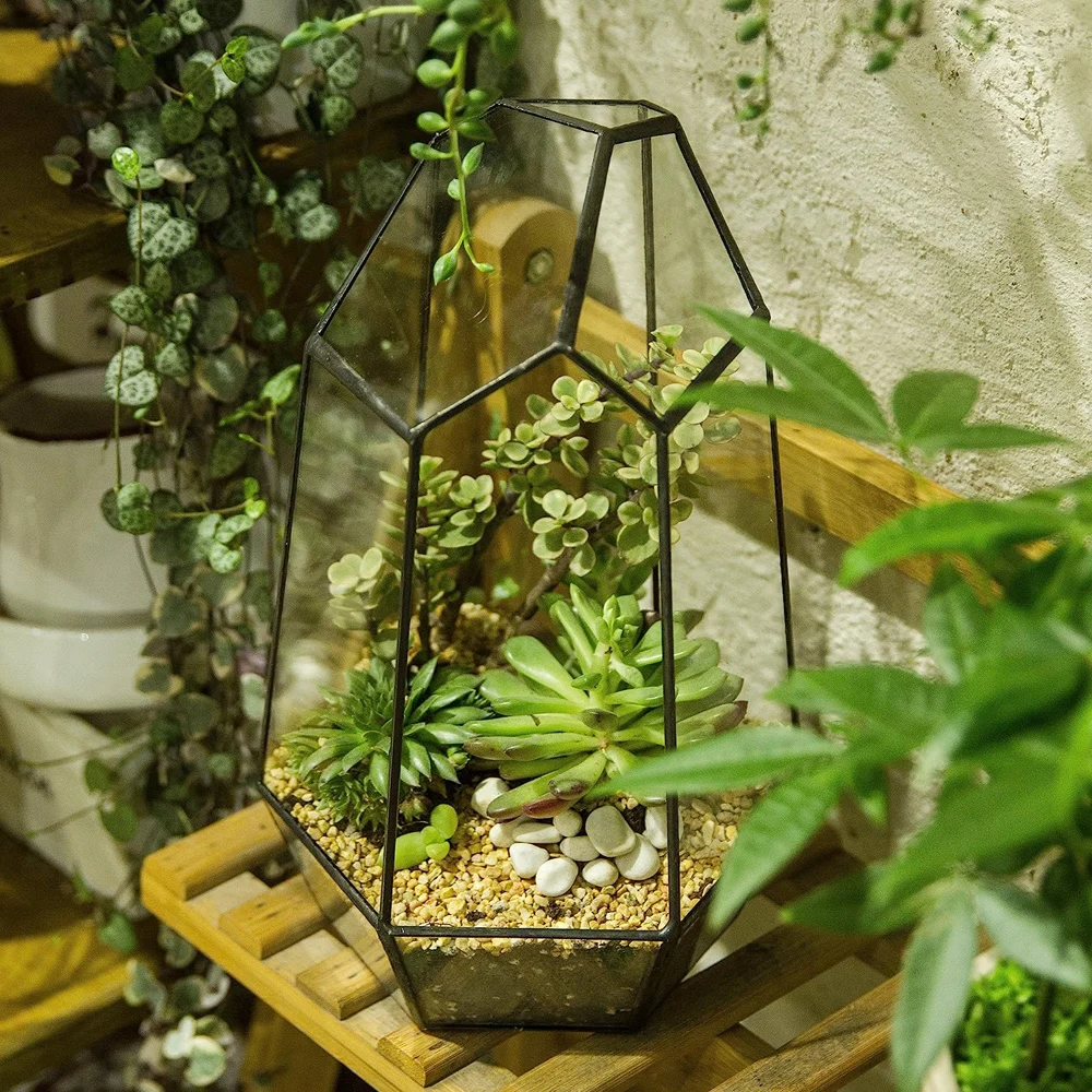 Geometrice Neregulate Sticlă Terarii De Masă În Miniatură Grădină Vas De Cuarț Forma De Lipire Casa Verde A Plantelor Acasă Decorare