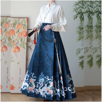 Primavara-Vara Nou Chinezesc Femei Hanfu Plisata Fusta Liber Feminin de Moda de Înaltă Calitate Elegant Talie Mare Vintage Slim Fuste