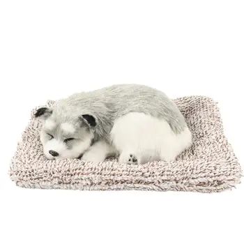 Simulare creatoare Câine Formă de Câine Forma Papusa Decor Masina Vii Activat de Carbon, Masina de Afișare Mucegai pentru Masina de Decor